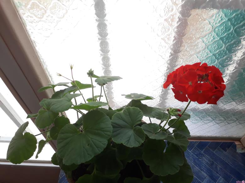 من شما را به چالش دعوت میکنم!