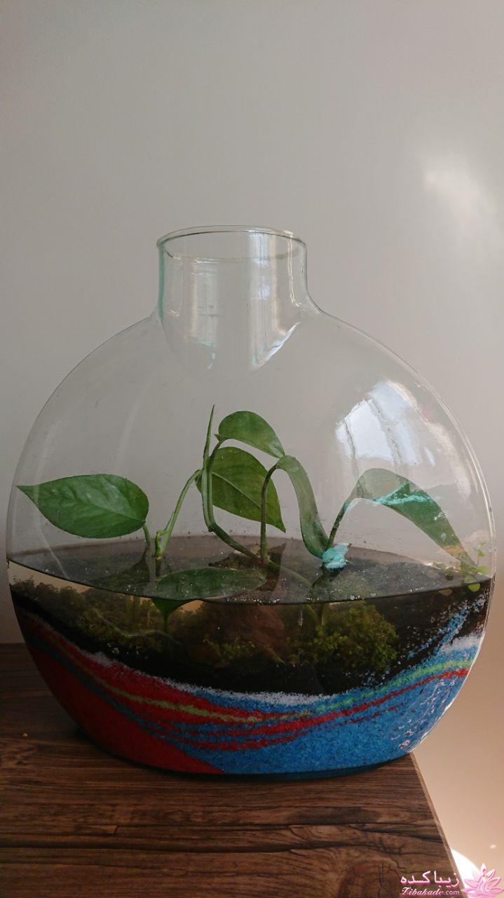 من شما را به چالش دعوت میکنم!