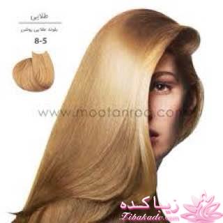 رنگ مو، آموزش ترکیب رنگ مو