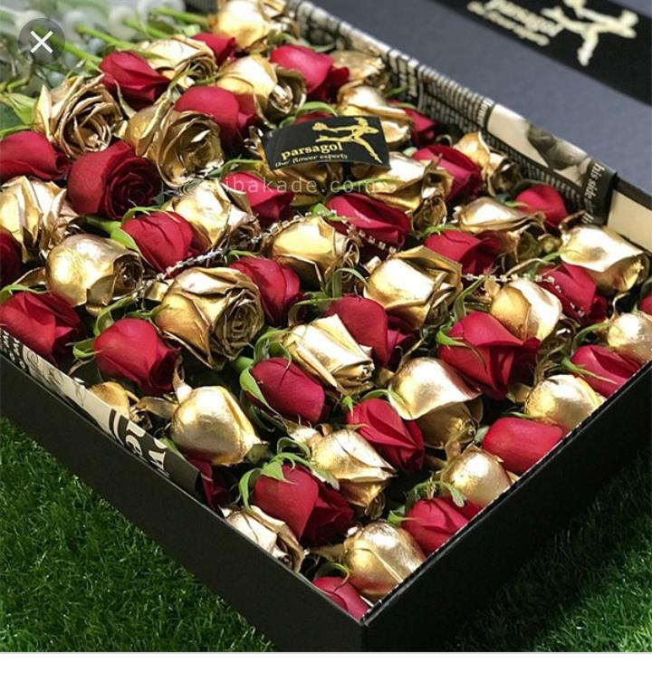 چگونه زیباکده ایالتی مستقل شد