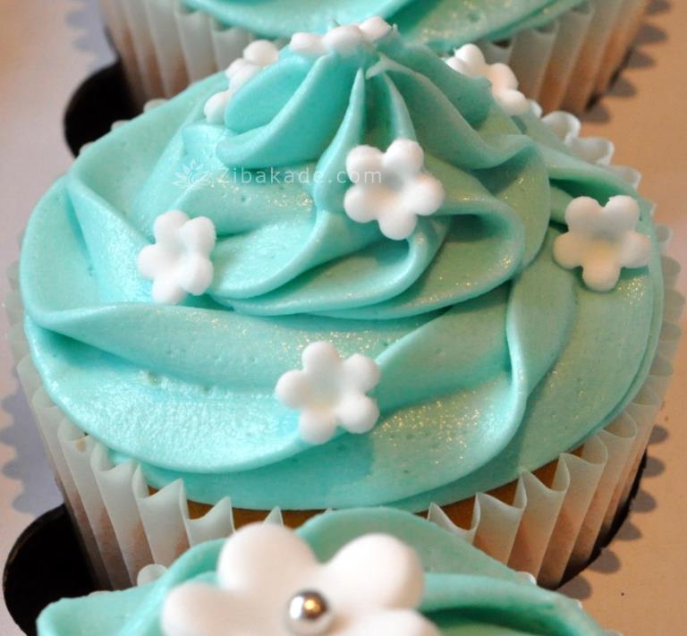 تم تولد فروزن – Ferozen