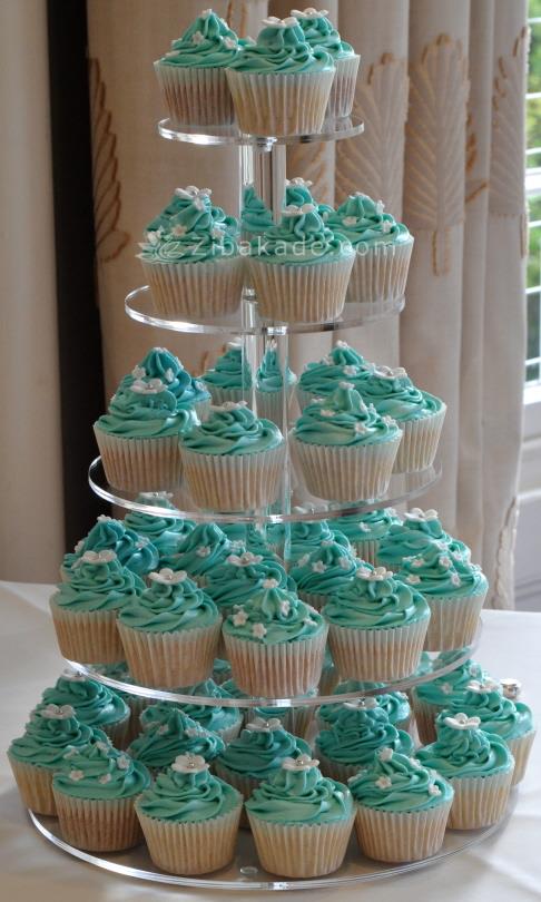 تم تولد فروزن – Ferozen