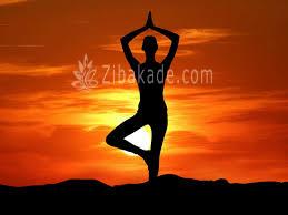 معرفی رشته های ورزشی باشگاههای زنان تهران