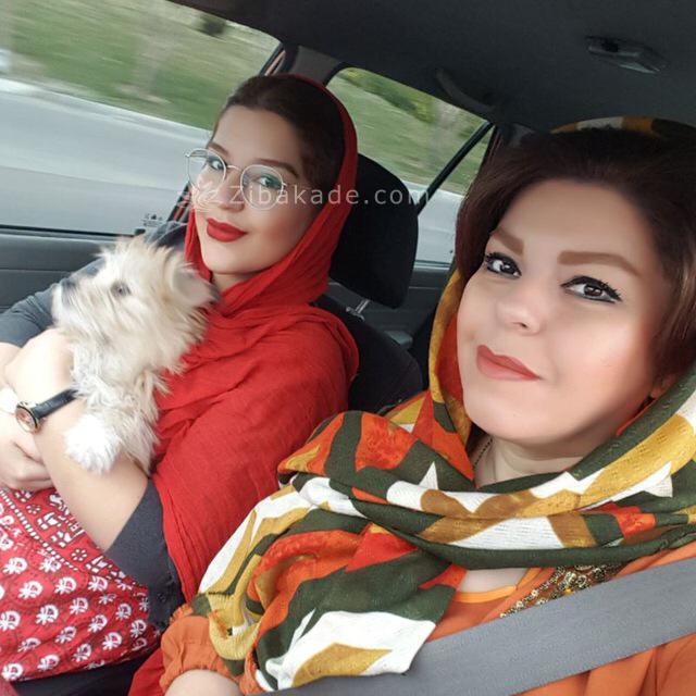 نگهداری سگ در آپارتمان-قصه سگ کوچولوی من پاپت