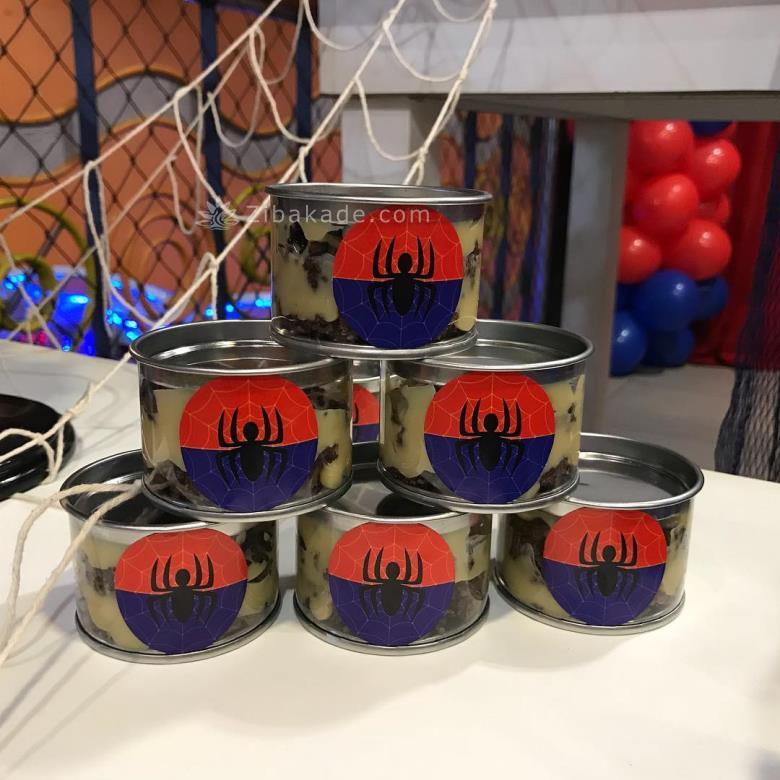 تم تولد مرد عنکبوتی - Spider Man 