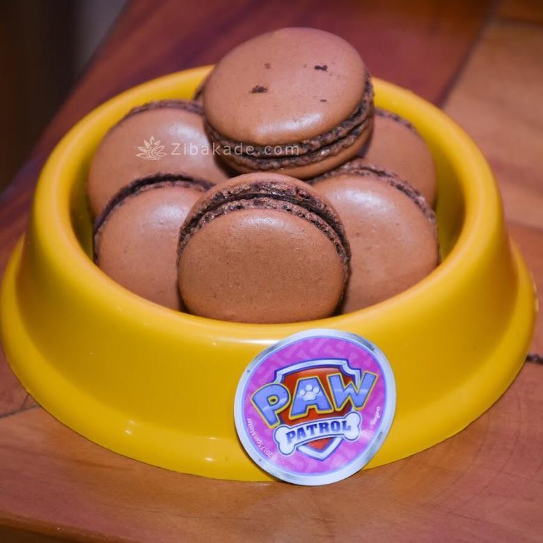 تم تولد سگ های نگهبان - Paw Patrol