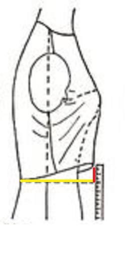 آموزش رفع ایرادهای اندامی 