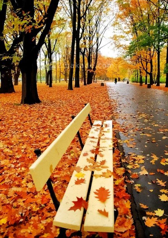 متن عاشقانه | متن زیبا | متن خاص