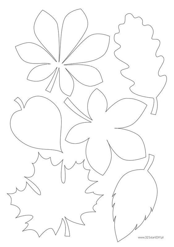 اوریگامی | الگوی کاغذی