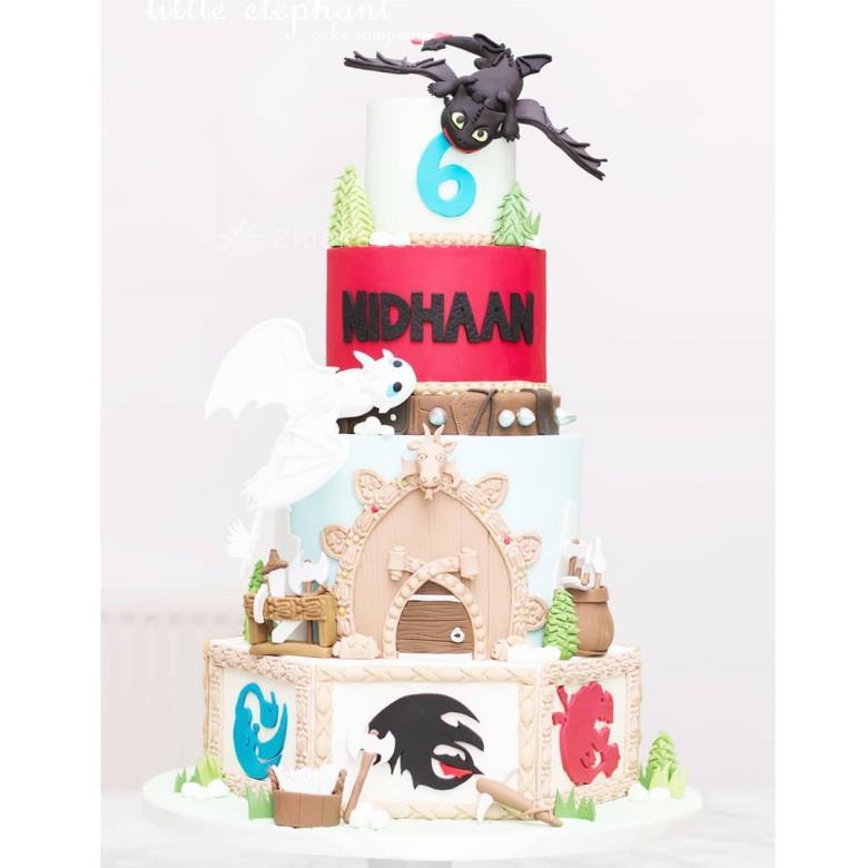 تم تولد مربی اژدها - How to Train Your Dragon