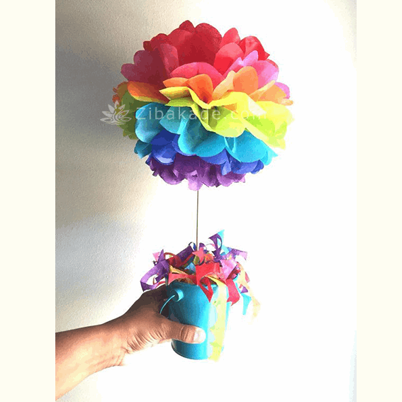 تم تولد رنگین کمان -  Rainbow