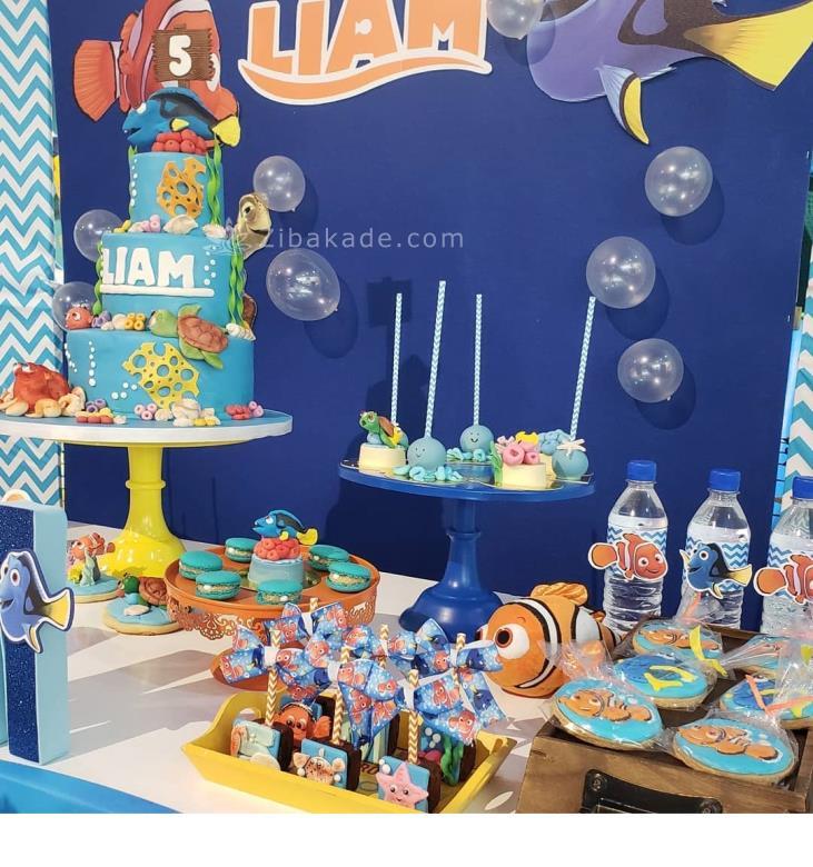 تم تولد در جستجوی نمو