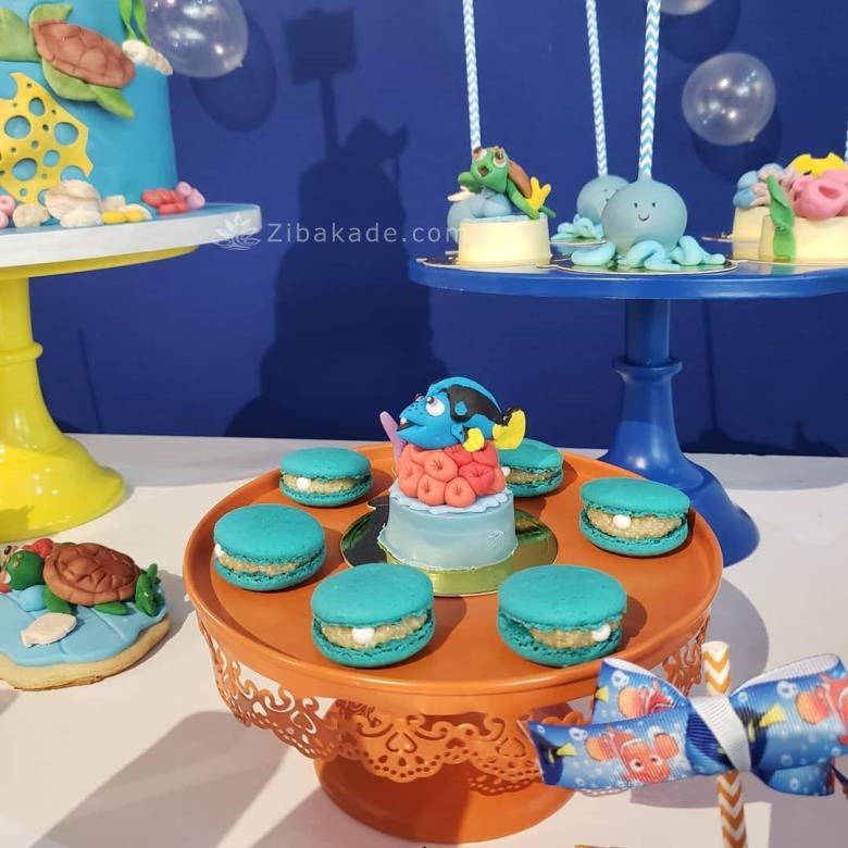 تم تولد در جستجوی نمو