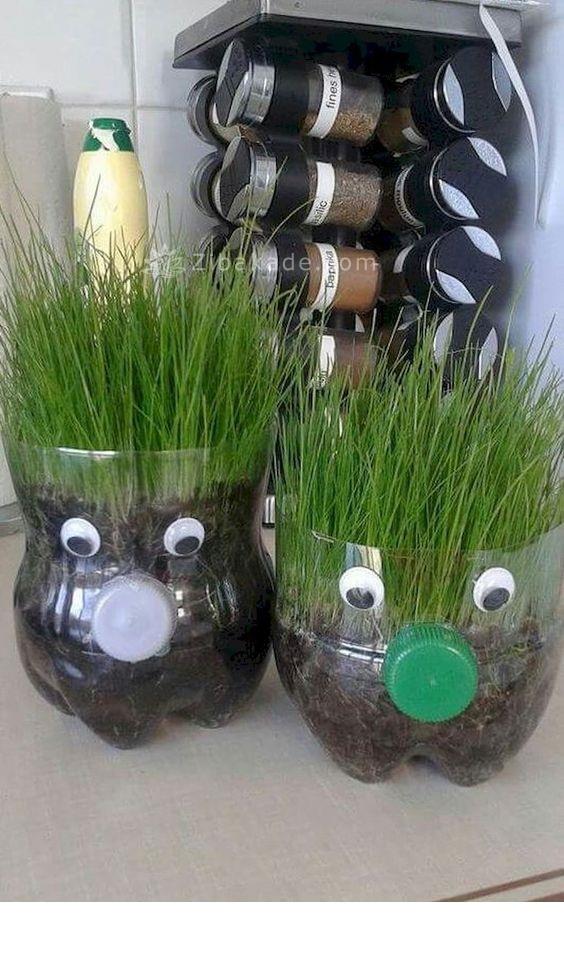 سبزه عید را خودتان سبز کنید !