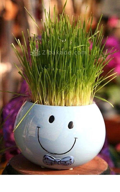 سبزه عید را خودتان سبز کنید !