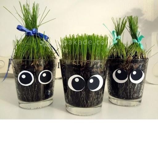 سبزه عید را خودتان سبز کنید !