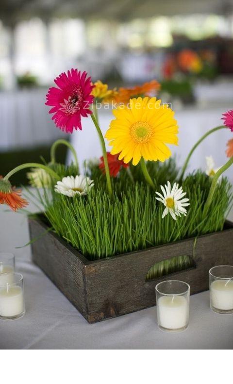 سبزه عید را خودتان سبز کنید !