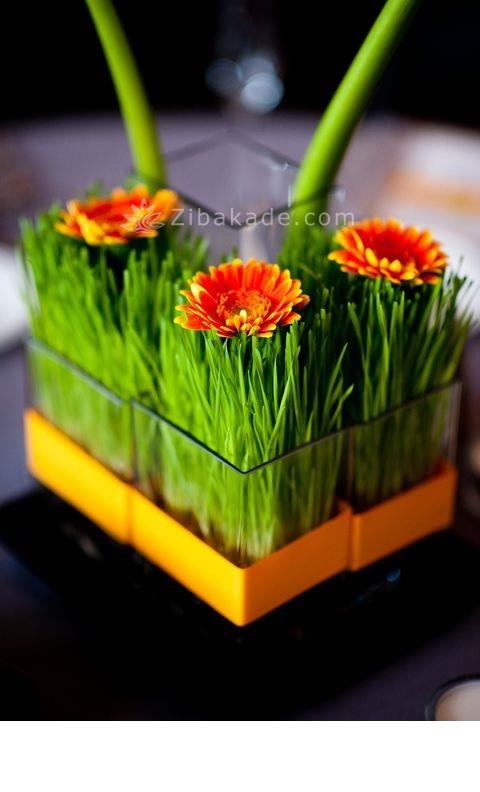 سبزه عید را خودتان سبز کنید !