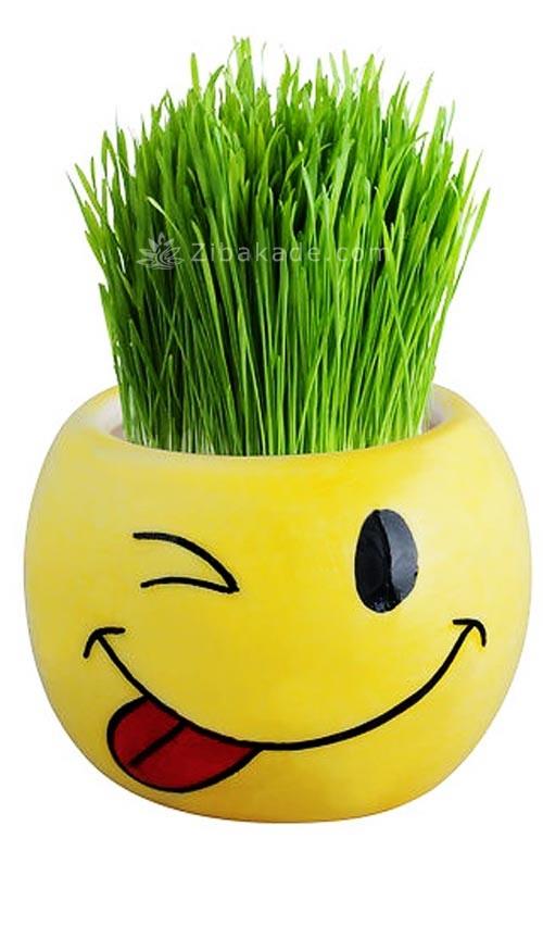 سبزه عید را خودتان سبز کنید !