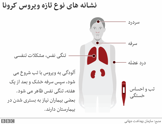 همه چیز در مورد ویروس کرونا | راههای انتقال و جلوگیری از ابتلا | تاثیر کرونا بر بدن انسان