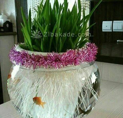 سبزه عید را خودتان سبز کنید !