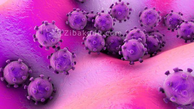 همه چیز در مورد ویروس کرونا | راههای انتقال و جلوگیری از ابتلا | تاثیر کرونا بر بدن انسان