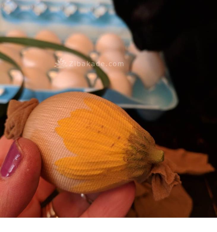 امسال تخم مرغ های عید را جور دیگر تزیین کنیم