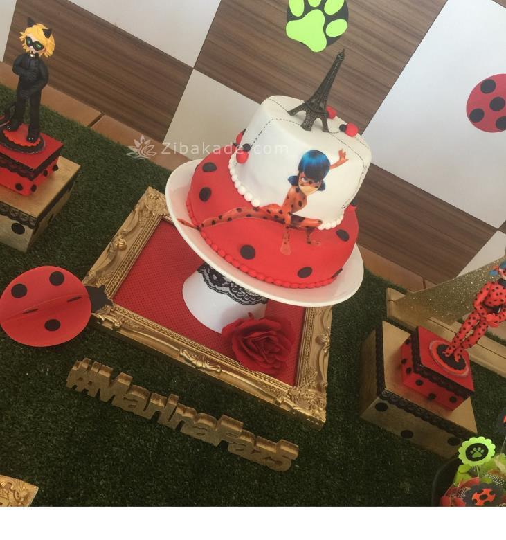 تم تولد لیدی باگ - Ladybug