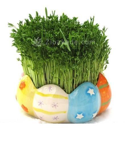 سبزه عید را خودتان سبز کنید !