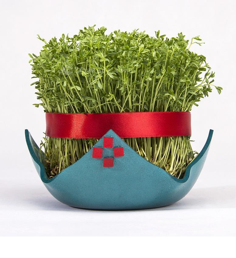 سبزه عید را خودتان سبز کنید !