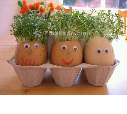 سبزه عید را خودتان سبز کنید !