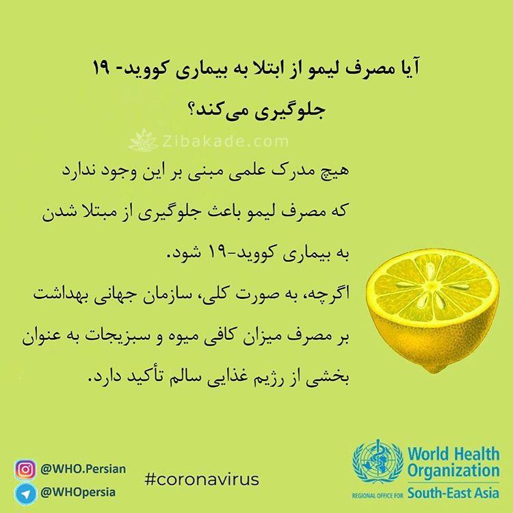 آیا مصرف لیمو از ابتلا به بیماری کویید-19 جلوگیری میکندانتقال و جلوگیری از ابتلا | تاثیر کرونا بر بدن انسان