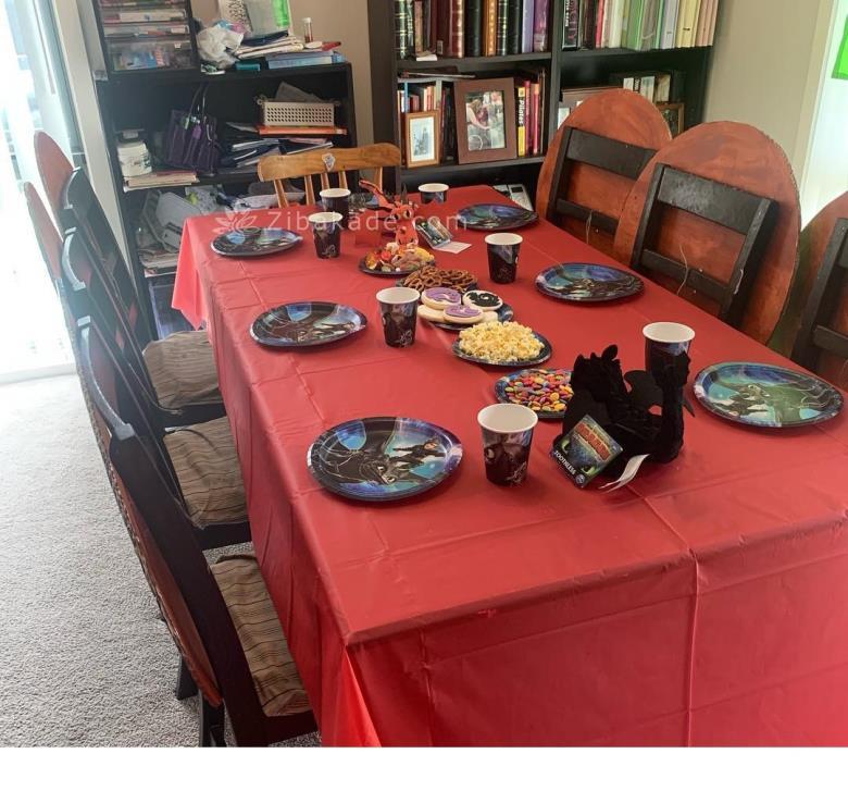 تم تولد مربی اژدها - How to Train Your Dragon