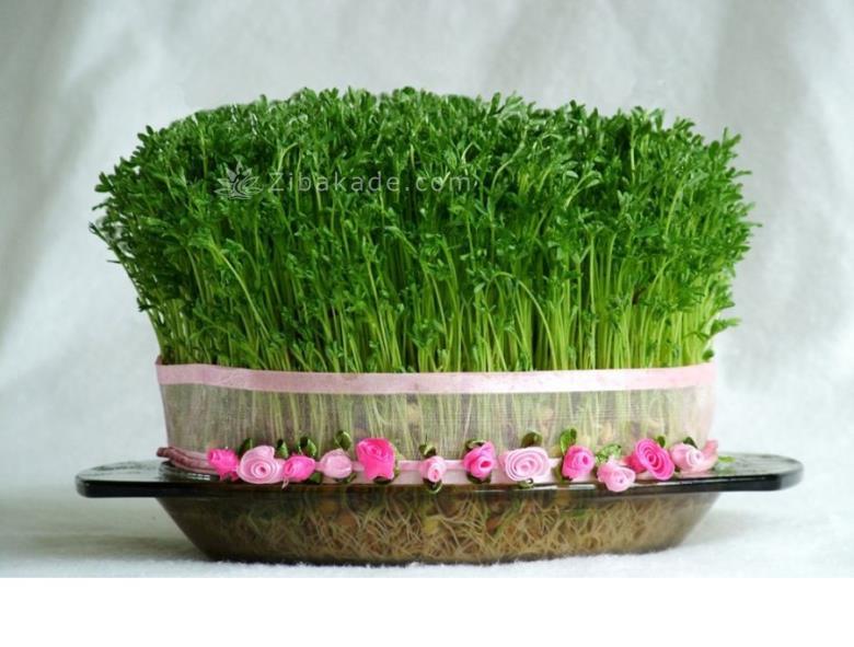 سبزه عید را خودتان سبز کنید !