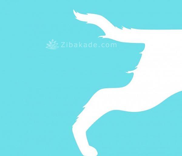 تست روانشناسی