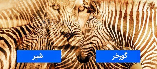 تست روانشناسی