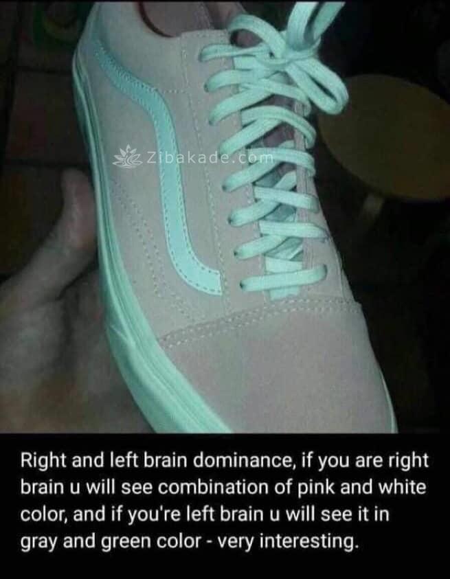 یه تست جالب! این کفش به نظرتون چه رنگیه؟ بند کفش چه رنگیه؟