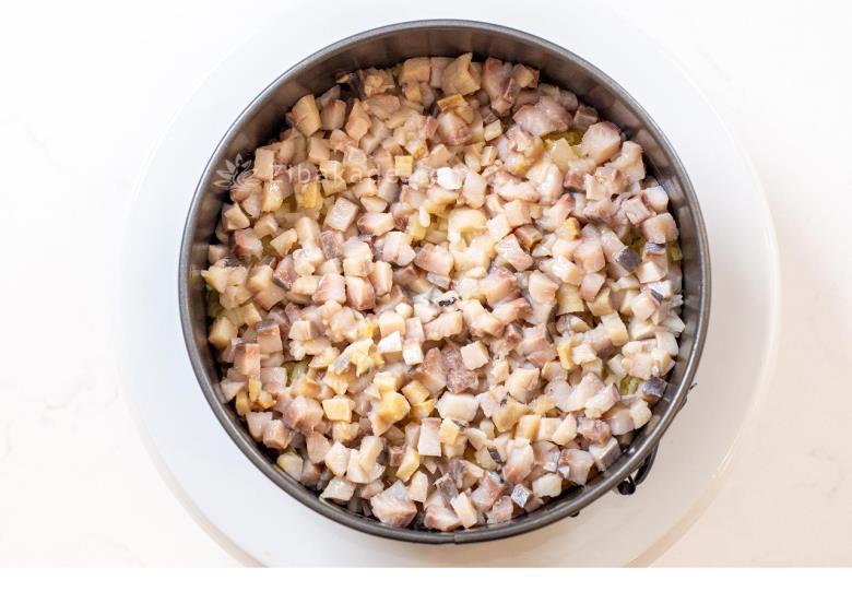 انواع سالاد(هر روز با یک سالاد)