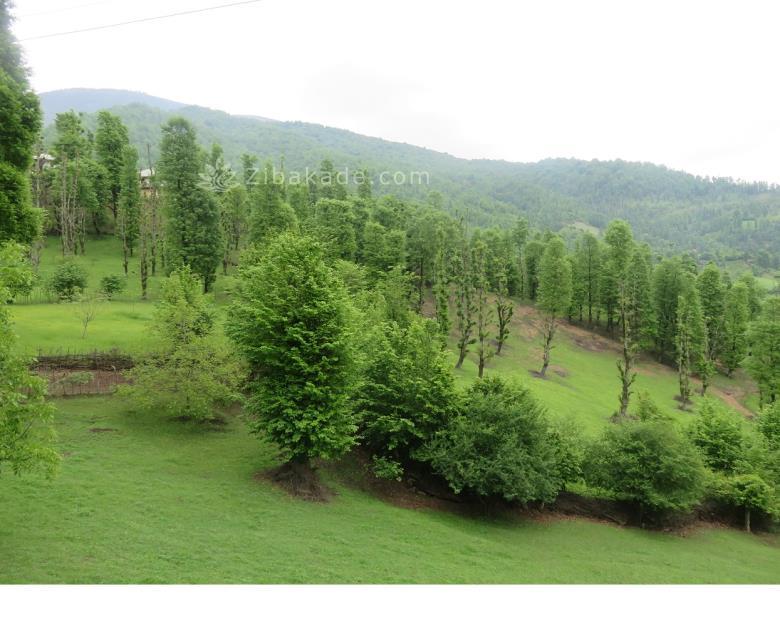 تفریحات تابستانی برای بزرگترها | سفرهای تابستانی | مکان های دیدنی | گردش های درون شهری