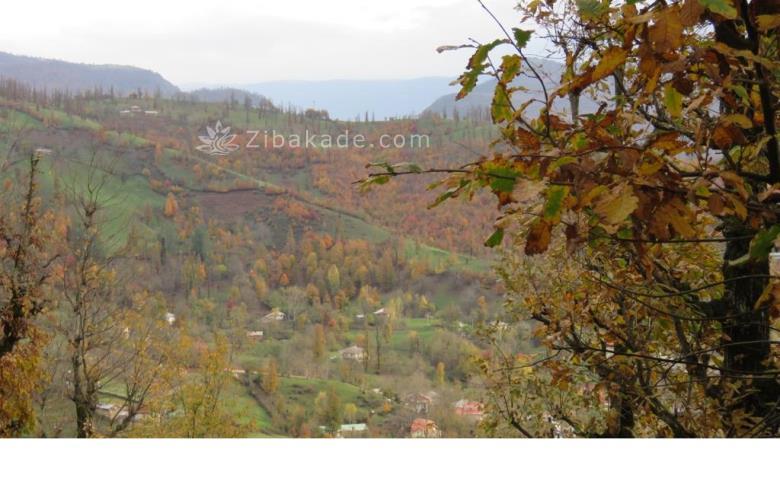 تفریحات تابستانی برای بزرگترها | سفرهای تابستانی | مکان های دیدنی | گردش های درون شهری