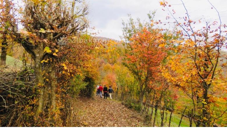 تفریحات تابستانی برای بزرگترها | سفرهای تابستانی | مکان های دیدنی | گردش های درون شهری