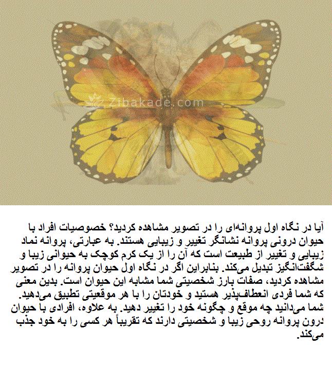 تست روانشناسی