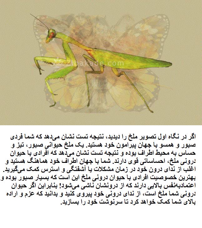 تست روانشناسی