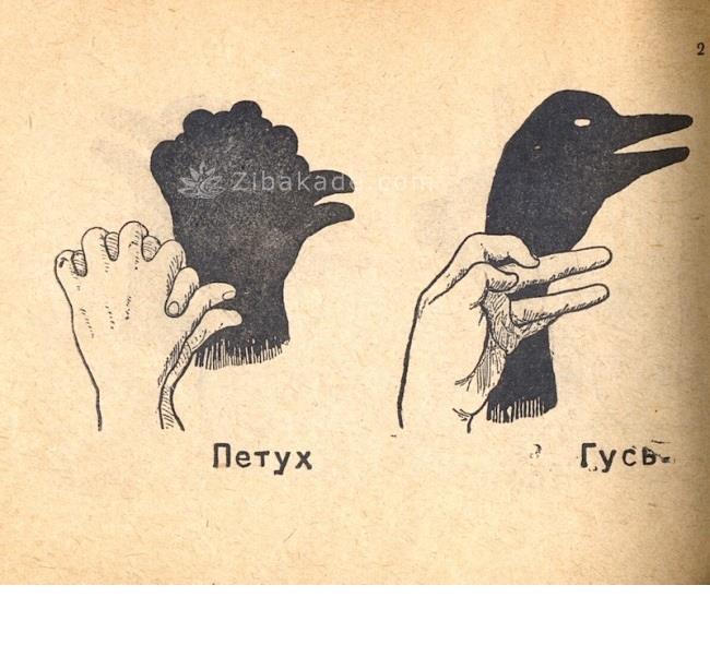 تفریحات تابستانی برای بچه ها | کودکان و تعطیلات تابستانی