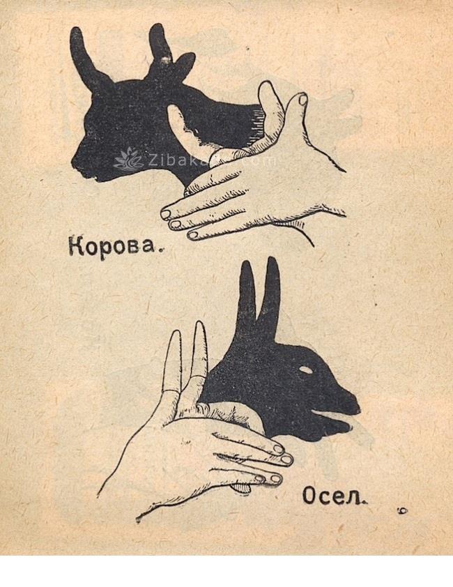 تفریحات تابستانی برای بچه ها | کودکان و تعطیلات تابستانی