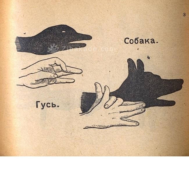 تفریحات تابستانی برای بچه ها | کودکان و تعطیلات تابستانی