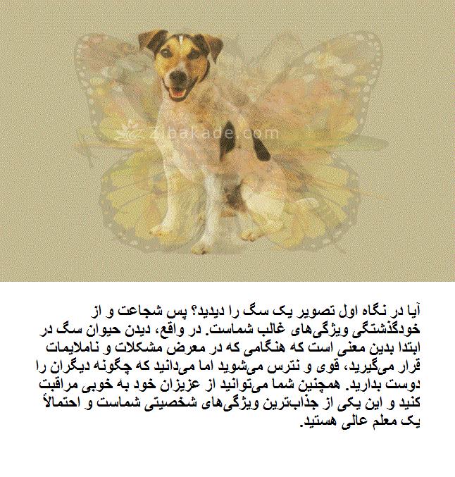 تست روانشناسی