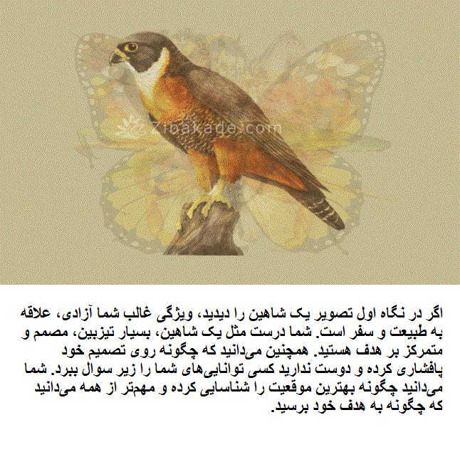 تست روانشناسی