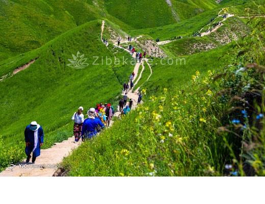 تفریحات تابستانی برای بزرگترها | سفرهای تابستانی | مکان های دیدنی | گردش های درون شهری