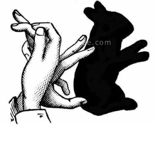 تفریحات تابستانی برای بچه ها | کودکان و تعطیلات تابستانی